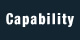 Capability