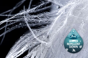 WATER REPELLENT DOWN