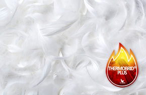THERMOBRID® PLUS