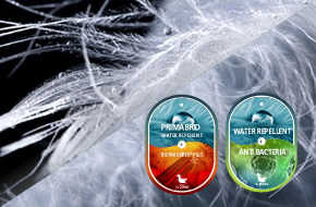 MUTI-FUNCTIONAL DOWN