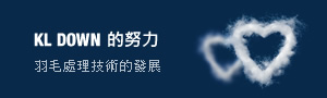 KL DOWN的努力