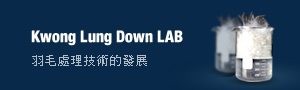 KL DOWN LAB